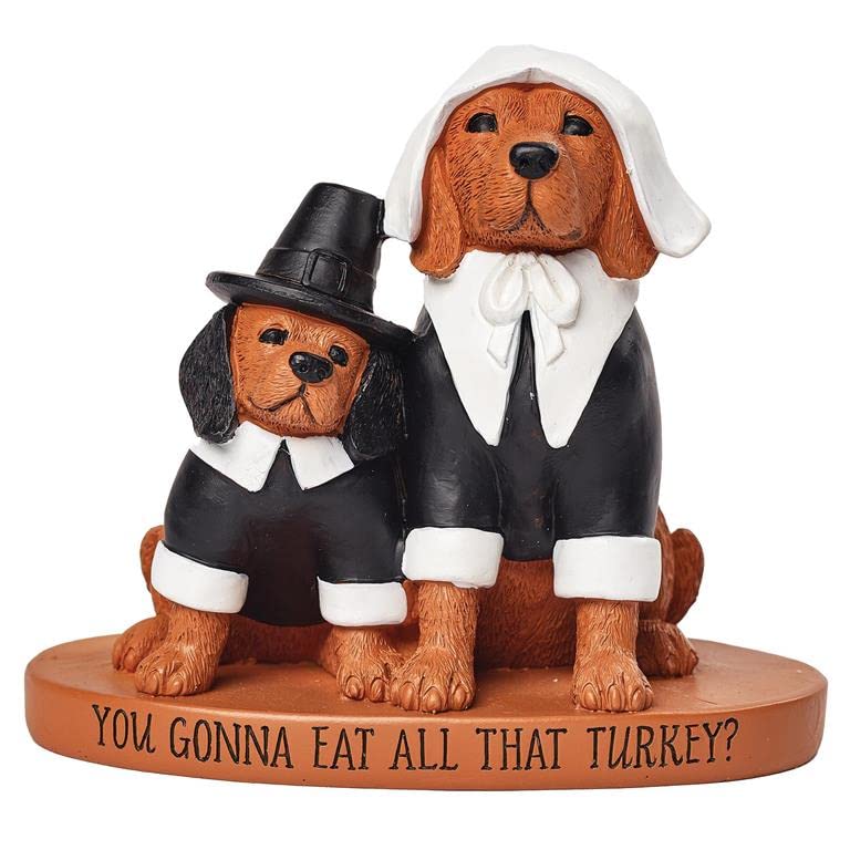 Blossom Bucket Pilgrim Dogs On Base