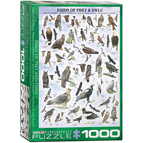 EuroGraphics Birds of Prey and Owls Puzzle (1000-Piece) (6000-0316)