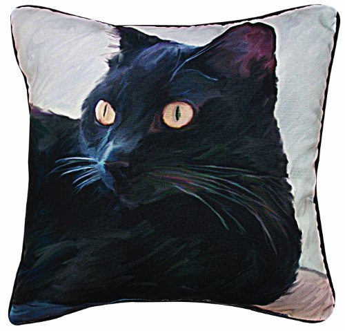 Manual Black Cat Portrait Paws and Whiskers Decorative Square Pillow, 18-Inch