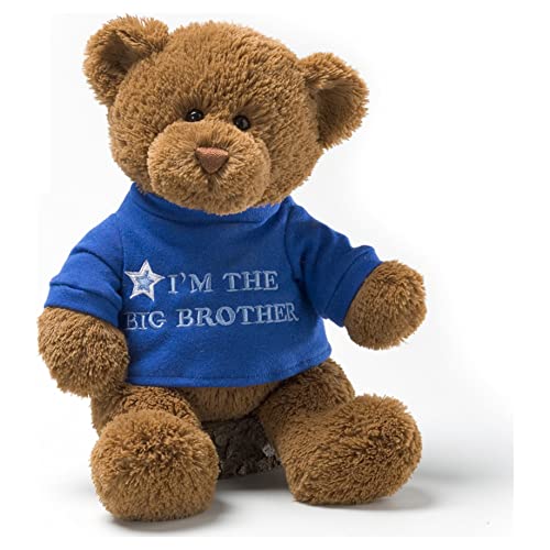 GUND I'm the Big Sister T-Shirt Teddy Bear Stuffed Animal Plush, Pink, 12