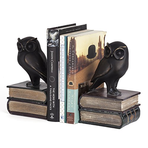 Danya B. Owl Bookends Decorative Rustic Bookshelf Decor - Owls Bookend Set for Heavy Books - Bronze Finish