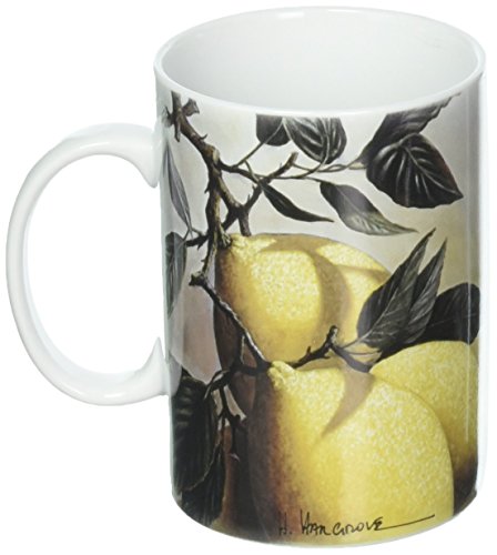 HIC Harold Import Mug LIMONI 16OZ S/4 NT785-HIC