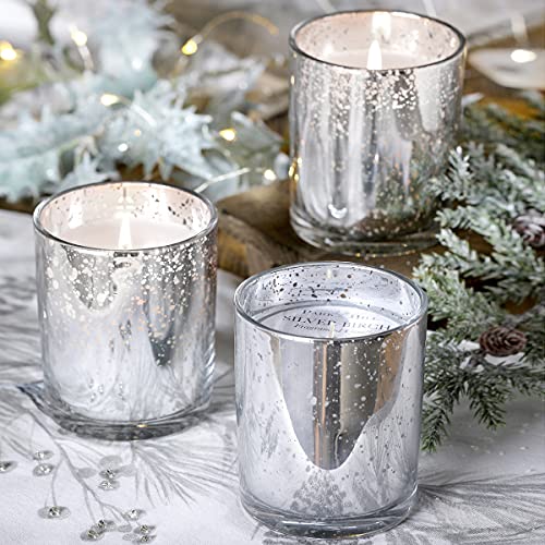 Park Hill Collection Silver Birch Limited Candle