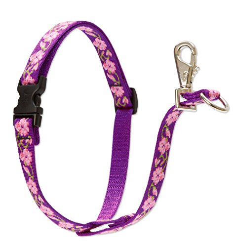 Lupine Pet Originals 3/4" Rose Garden 16-26" No Pull Harness for Small-Medium Dogs