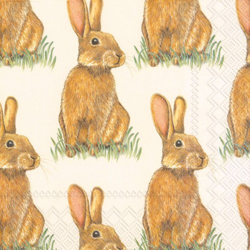 Boston International IHR 3-Ply Paper Napkins, 20-Count Lunch Size, Eddie