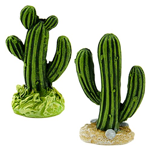 Touch of Nature 55771 Fairy Garden Cactus 2pc, 1"