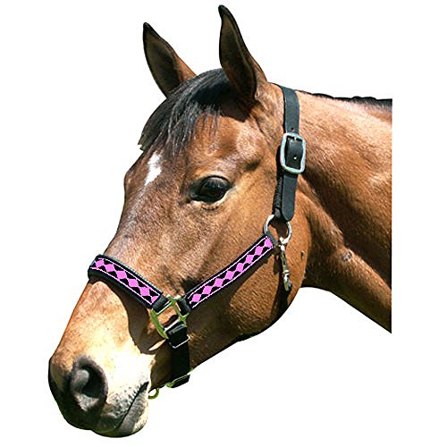 Intrepid International Leather Crown Diamond with Padded Nose Halter, Black/Neon Green, Full