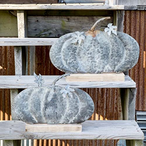 Park Hill Collection Lodge Weathered Tin Fairy Tale Pumpkins, Set of 2