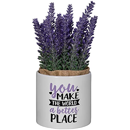 Carson Home 24001 Better Place Decorative Planter with Artificial Flowers, 7.5-inch Height, Ceramic