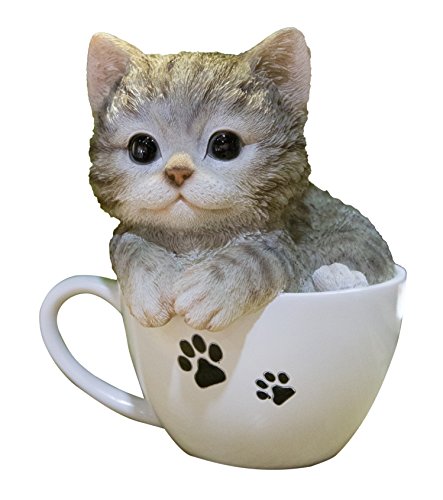 Hi Line Gift Ltd Pet Pals-Teacup Kitten Grey Tabby