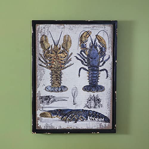 CTW Home Collection 530556 Scientific Blue Lobster Wall Decor 31-inch Height