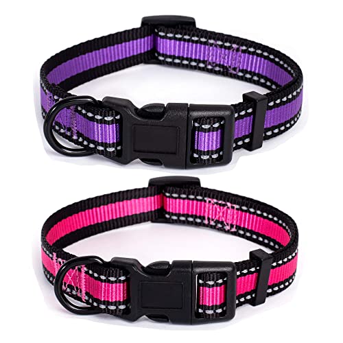 Mile High Life Dog Collar | Reflective 3M Stripe with Nylon Band (Purple/Pink, Small (Pack of 2))
