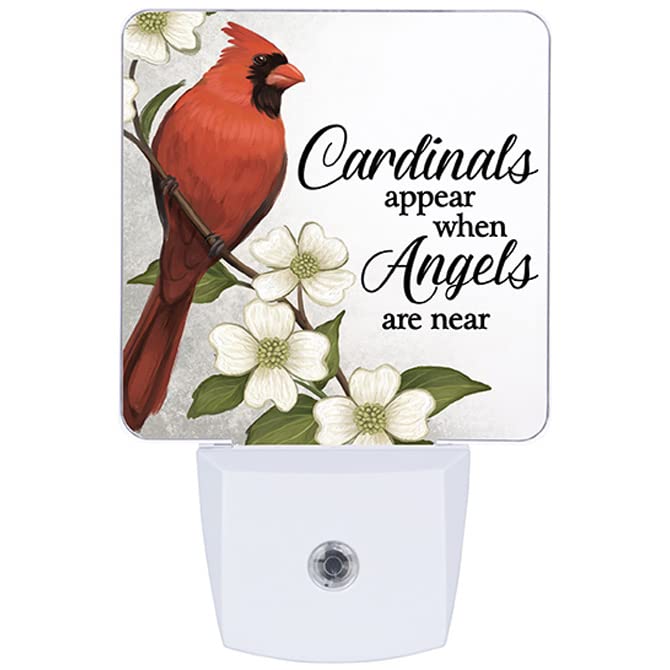 Carson Home Accents Christmas Cardinal Nightlight, 4.5-inch Height, Acrylic