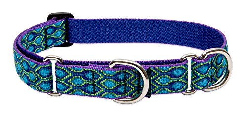 Lupine Pet Originals 1" Rain Song 19-27" Martingale Collar for Large Dogs