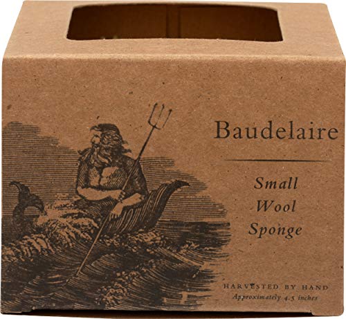 Baudelaire, Sea Sponge Caribbean Wool 4.5 In, 1 Count