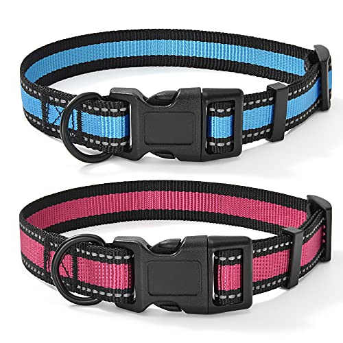 Mile High Life Dog Collar | Reflective 3M Stripe with Nylon Band (Blue/Pink, X-Small (Pack of 2))