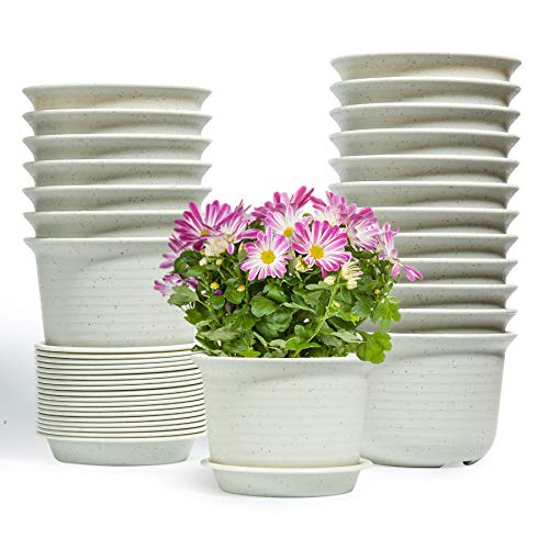 T4U 20 Pack 5 Inch Plastic Plant Pots Beige with Saucer, Seeding Nursery Flower Planter Pot with Drainage and Tray Container for Herbs African Violets Succulents Orchid Cactus Indoor Outdoor