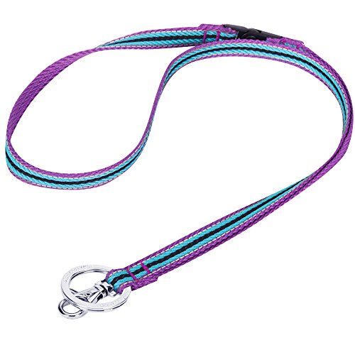 Blueberry Pet 3M Reflective Multi-Colored Stripe Violet and River Blue Men Women Fashion Non Breakaway Lanyard Keychain for Keys/ID Card/Badge Holder, 1/2" Wide