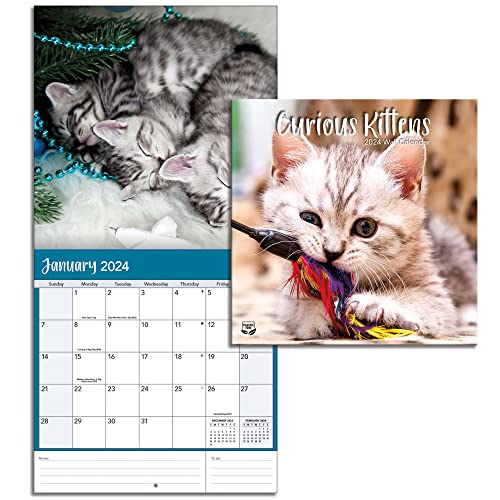 LANG Turner Photographic Curious Kittens Photo Mini Wall Calendar (24998950004)