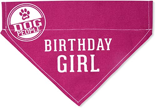 Pavilion Gift Company Pink Large Dog Slip-On Collar Canvas Bandana Birthday Girl, 12x8 Inch