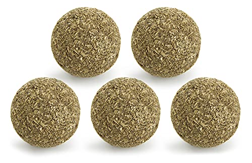 Worldwise SmartyKat (5-Set) Catnip Kiss Compressed Catnip Ball Toys for Cats & Kittens, Natural, Pure & Potent, Fun & Engaging Play - 5-Set