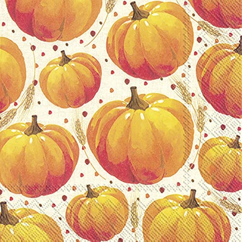Boston International IHR 3-Ply Lunch Paper Napkins, 6.5 x 6.5-Inches, Pumpkin Allover Linen
