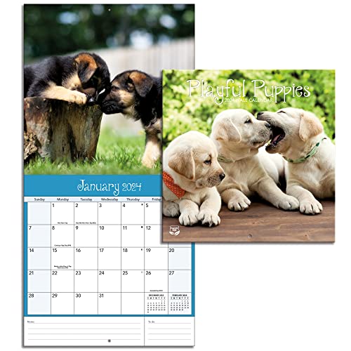 LANG Turner Photographic Playful Puppies Photo Mini Wall Calendar (24998950017)