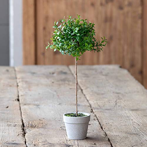 Park Hill Collection EBQ90567 Petite Boxwood Topiary, 13-inch Height