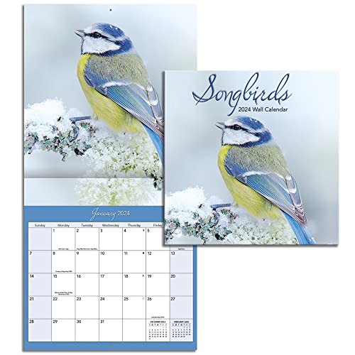 LANG Turner Photographic Songbirds Photo Mini Wall Calendar (24998950032)