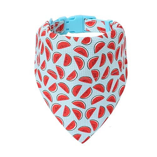 Mile High Life | Tropical Fruit Summer Collection | Soft Poly Cotton Fabric | Girl Dog Collars | Bandana Collar (Watermelon, Bandana w/Collar -M )