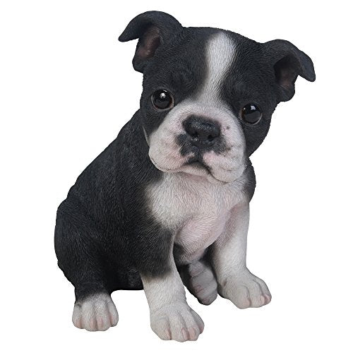 Pacific Trading Giftware Adorable Seated Boston Terrier Puppy Collectible Figurine Amazing Dog Likeness Hand Painted Resin 6.5 inch Figurine Great for Dog Lovers Tabletop Decor