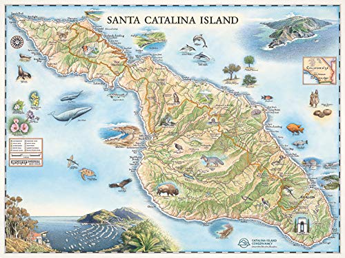 Xplorer Maps Santa Catalina Island Map Hand-Drawn Map Poster - Authentic 24X18 Inch Vintage-Style Wall Art - Lithographic Print with Soy-Based Inks - Unique Gift for History Buffs, Travelers, Teachers, or Home Decor - All-Ages - Made In USA