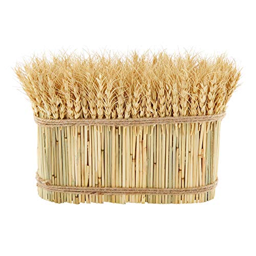 Mud Pie Long Preserved Wheat Bundle, 10" x 12", Brown