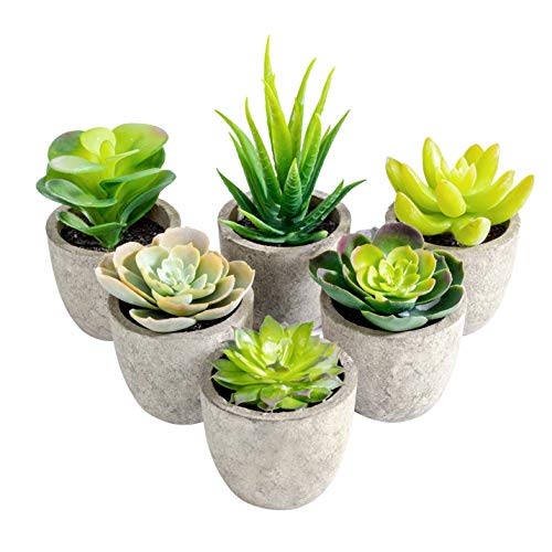 T4U Artificial Succulent Plants in Pot, Assorted Faxu Succulent Fake Cactus Cacti with Grey Pots for Decorative, Set of 6