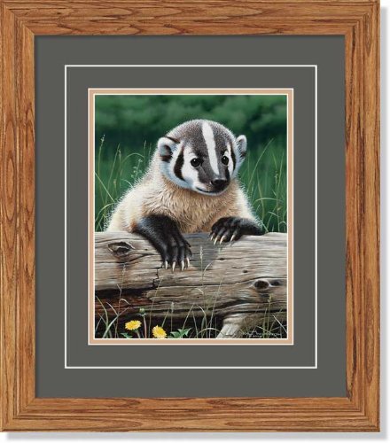 Wild Wings(MN) Out of the Meadow - Badger GNA Deluxe Framed Print by Neal Anderson