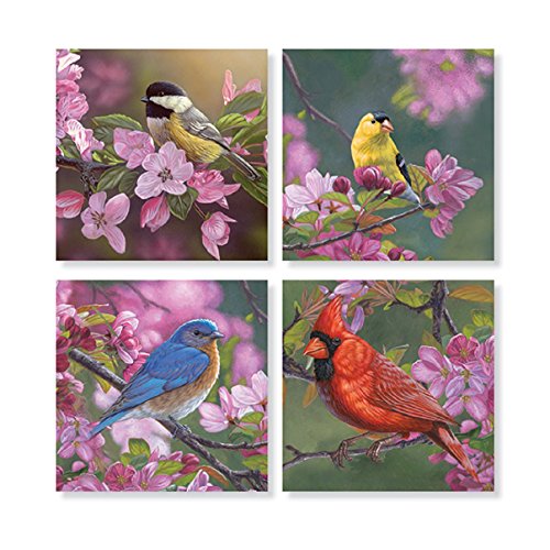 Set of 4 "Mixed Birds on Pink Flowers" Square Stone Coaster Set by Carson Home Accents