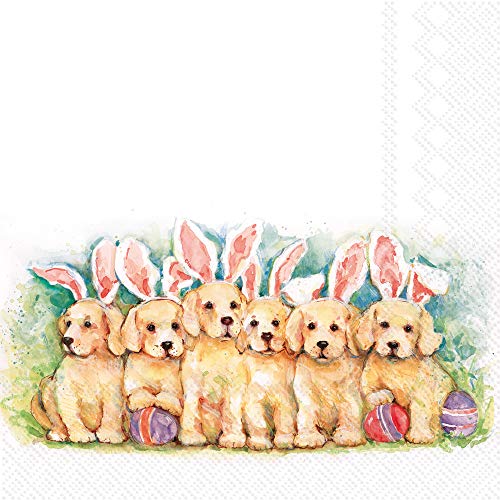 Boston International IHR 3-Ply Lunch Paper Napkins, 6.5 x 6.5-Inches, Candy Dogs