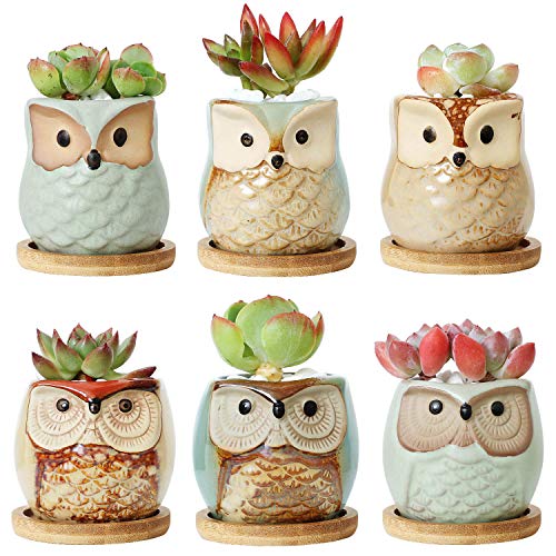 T4U 2.5 Inch Owl Ceramic Succulent Planter Pots with Bamboo Tray Set of 6, Flowing Glaze Porcelain Handicraft Plant Holder Container Gift for Mom Sister Aunt Best for Home Office Garden Decoration