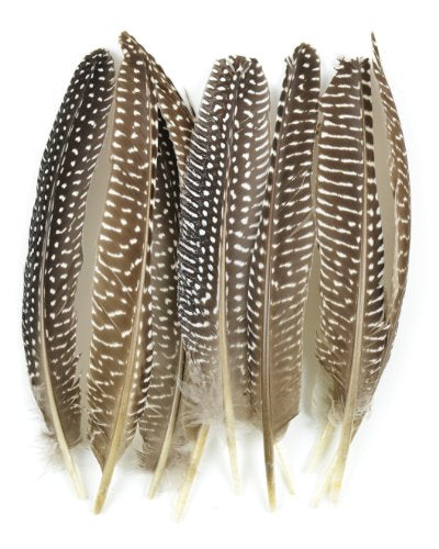 Midwest Design Touch of Nature 38193 Guinea Fowl Wing Quill, 7-Inch