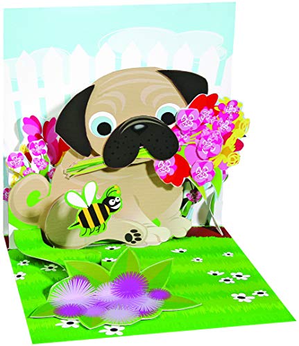 Up With Paper Birthday Greeting Card For Him - Pug Bouquet Pop-Up