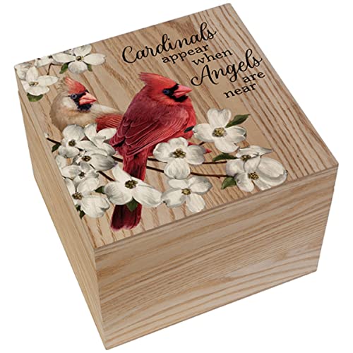 Carson Home 24986 Cardinals Appear Memory Box