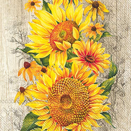 Boston International IHR Lunch Paper Napkins, 6.5 x 6.5-Inches, Sunflowers on Light Brown