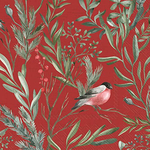 Boston International IHR Winter Holiday Christmas 3-Ply Paper Napkins, 20-Count Cocktail Size, Winter Greens- Red