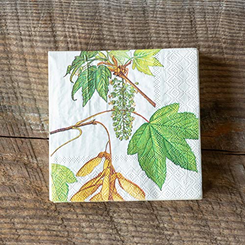 Park Hill Collection FAP90984 Botanical Paper Beverage Napkins, 5-inch Square, Package of 20