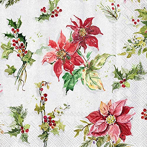 Boston International IHR 3-Ply Paper Napkins, 20-Count Lunch Size, Poinsettia & Holly Allover