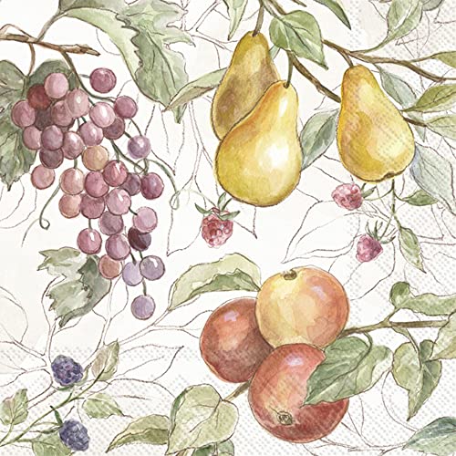 Boston International IHR Floral Fall Autumn Thanksgiving 3-Ply Paper Napkins, 20-Count Cocktail Size, Country Fruits- Cream