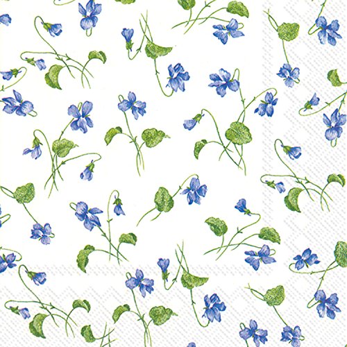 Boston International Celebrate the Home Floral 3-Ply Paper Luncheon Napkins, Viola Riviniana, 20 Count
