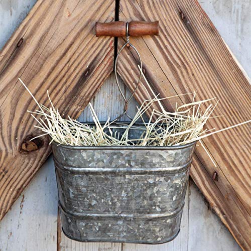 Park Hill Collection ECM82342 Galvanized Hanging Bucket Planter, 9-inch High