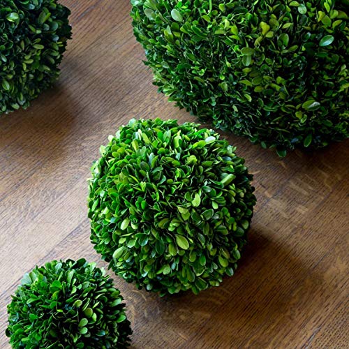 Park Hill Collection EBD80083 Preserved Boxwood Ball, 8-inch Diameter