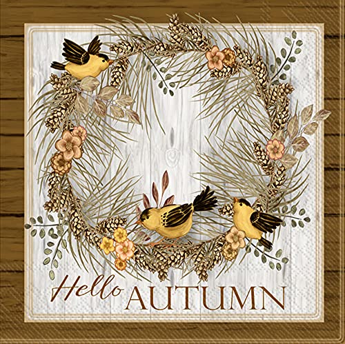 Boston International IHR 3-Ply Cocktail Beverage Paper Napkins, 5 x 5-Inches, Hello Autumn Harvest Song